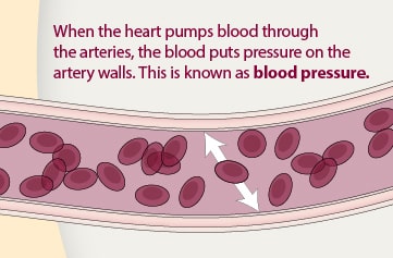 what-is-blood-pressure-and-why-does-it-matter-3